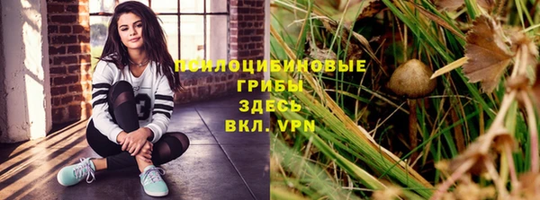 эйфоретик Медногорск