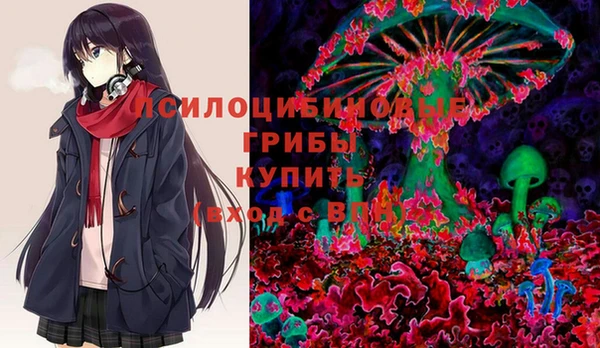 эйфоретик Медногорск